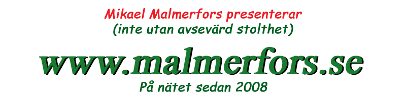 Mikael Malmerfors presenterar (inte utan avsevärd stolthet) www.malmerfors.se. På Internet sedan 2008